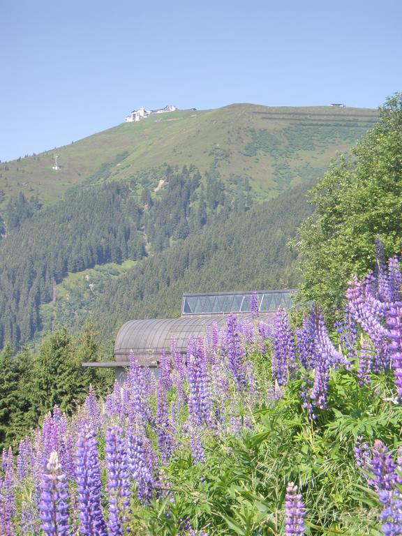 Appartement Schlosser Zell am See Bilik gambar