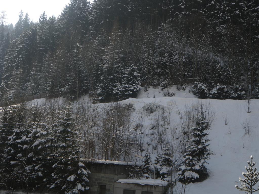 Appartement Schlosser Zell am See Luaran gambar